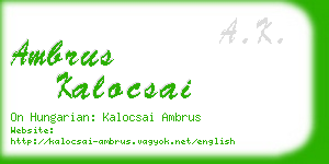 ambrus kalocsai business card